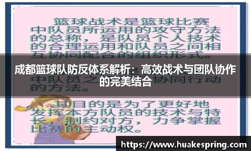 智博19