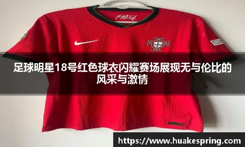 智博19