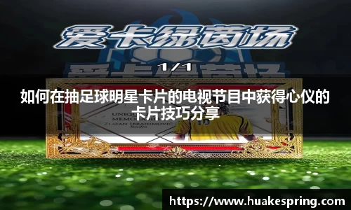 智博19有限公司