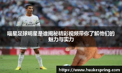 智博19有限公司