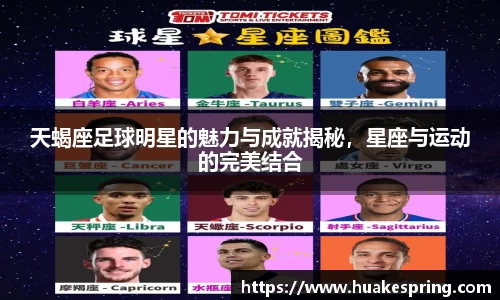 智博19有限公司